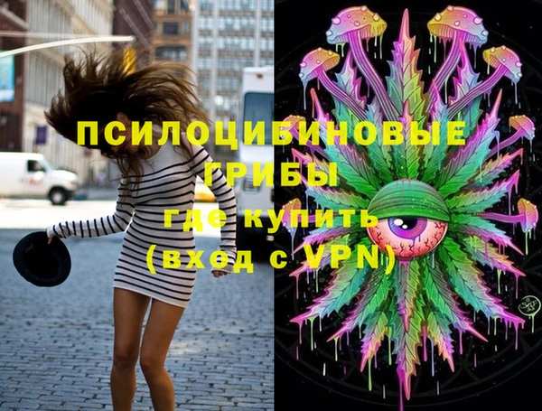амф Белокуриха