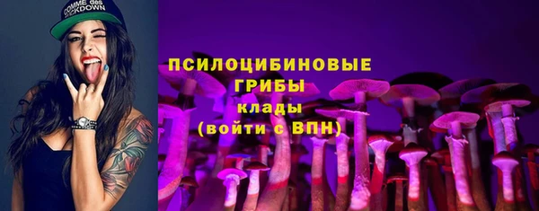 амф Белокуриха