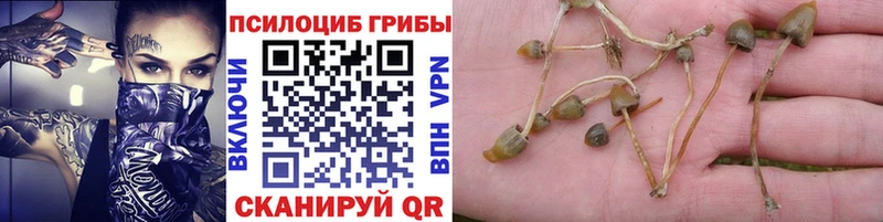 Галлюциногенные грибы мухоморы  Нерехта 